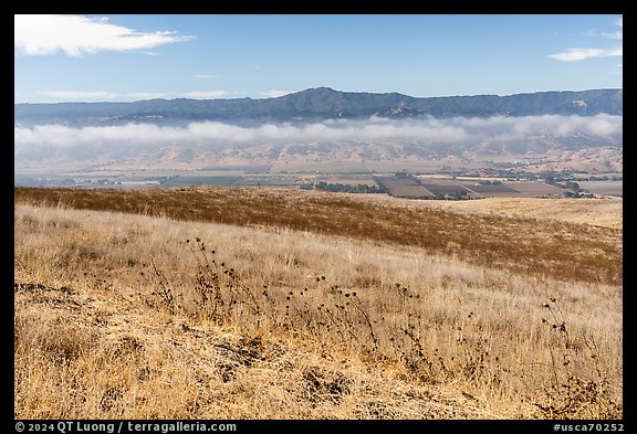 South Coyote Valley agricultural lands from Coyote Ridge Open Space Preserve. California, USA (color)