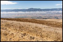 South Coyote Valley agricultural lands from Coyote Ridge Open Space Preserve. California, USA ( color)