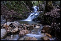 Upper Falls, Uvas Canyon County Park. California, USA ( color)