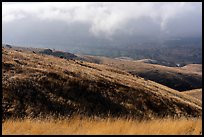 Grassy hills, Coyote Ridge Open Space Preserve. California, USA ( color)
