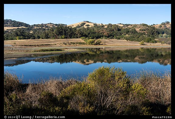 Grant Lake in summer, Joseph Grant County Park. San Jose, California, USA (color)