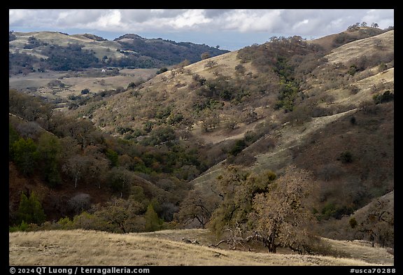 Hills in autumn, Joseph Grant County Park. San Jose, California, USA (color)