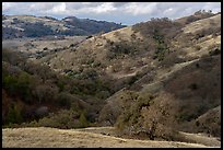 Hills in autumn, Joseph Grant County Park. San Jose, California, USA ( color)