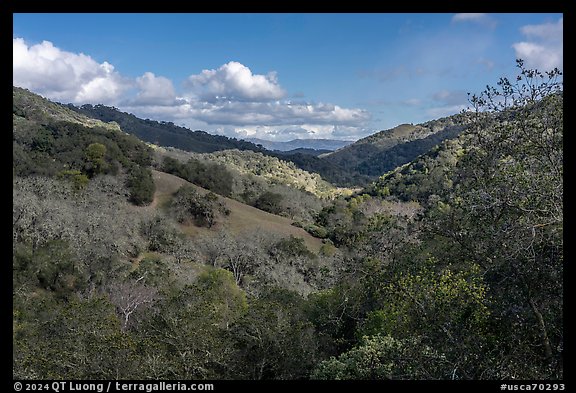 Valley in early winter, Canada del Oro Open Space Preserve. California, USA (color)