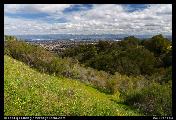 Wildflowers, Silicon Valley, and snowy hills, Fremont Older Preserve. California, USA (color)