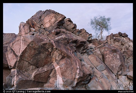 Petroglyphs near Corn Springs. Chuckwalla National Monument, California, USA (color)