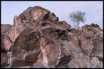 Petroglyphs near Corn Springs. Chuckwalla National Monument, California, USA ( color)