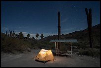 Corn Springs Campground at night. Chuckwalla National Monument, California, USA ( color)