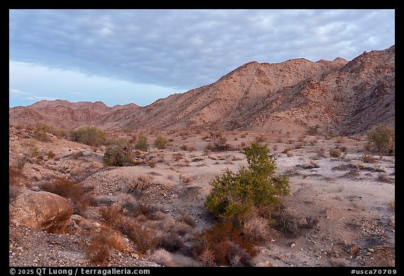 Chuckwalla Mountains at sunrise. Chuckwalla National Monument, California, USA (color)