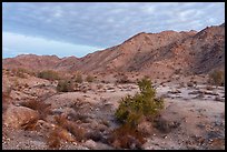 Chuckwalla Mountains at sunrise. Chuckwalla National Monument, California, USA ( color)