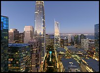 Aerial view of Salesforce Park at dusk. San Francisco, California, USA ( color)