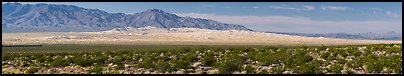 Vast Kelso Sand Dune field. Mojave National Preserve, California, USA (color)