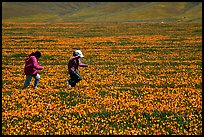 Children playing in a field of Poppies. Antelope Valley, California, USA (color)