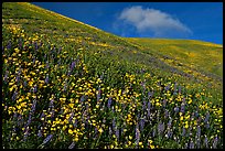 Pictures of Tehachapi Mountains