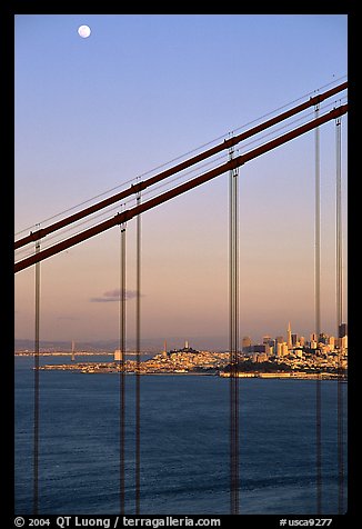 The city seen through the cables of the Golden Gate bridge, sunset. San Francisco, California, USA (color)