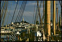 Telegraph Hill and Coit Tower seen through the masts of the Balclutha. San Francisco, California, USA (color)