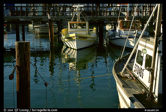 Fishing boats  anchored in  Fisherman's Wharf. San Francisco, California, USA (color)