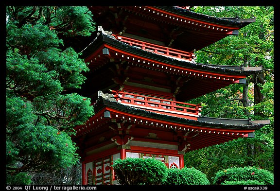 Pagoda, Japanese Garden, Golden Gate Park. San Francisco, California, USA