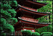 Pagoda, Japanese Garden, Golden Gate Park. San Francisco, California, USA