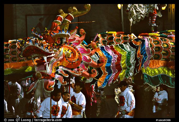 Dragon during the Chinese New Year celebration. San Francisco, California, USA (color)