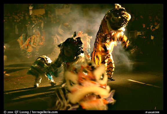 Dragon dancing during the Chinese New Year celebration. San Francisco, California, USA