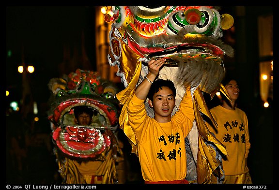 Lion dancers  during the Chinese New Year celebration. San Francisco, California, USA (color)