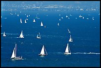 Sailboats in the Bay, seen from Marin. California, USA