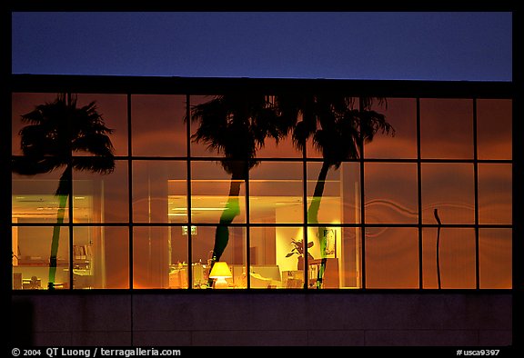 Palm Trees reflected in large bay windows at sunset. San Francisco, California, USA (color)