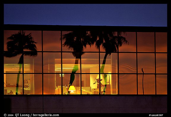 Palm Trees reflected in large bay windows at sunset. San Francisco, California, USA