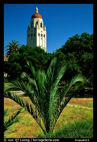 Hoover tower. Stanford University, California, USA (color)