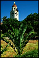 Hoover tower. Stanford University, California, USA (color)