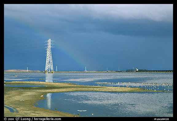 Birds and power lines, Ravenswood National Wildlife Refuge. Menlo Park,  California, USA (color)