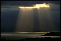 Sunbeams above the Golden Gate, seen from the Berkeley Hills. Berkeley, California, USA