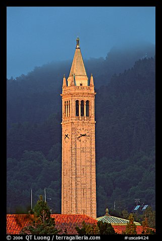 The Campanile, University of California at Berkeley campus. Berkeley, California, USA