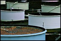 Oil tanks,  ConocoPhillips refinery, Rodeo. San Pablo Bay, California, USA ( color)