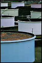 Storage citerns, Rodeo San Francisco Oil Refinery. San Pablo Bay, California, USA (color)