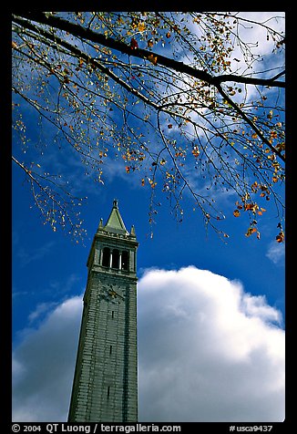 The Campanile, University of California at Berkeley campus. Berkeley, California, USA