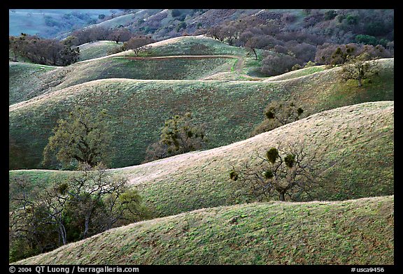 Ridges, Joseph Grant County Park. San Jose, California, USA (color)