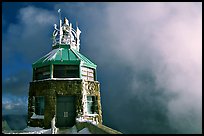 Ice-clad summit, Mt Diablo State Park. California, USA (color)