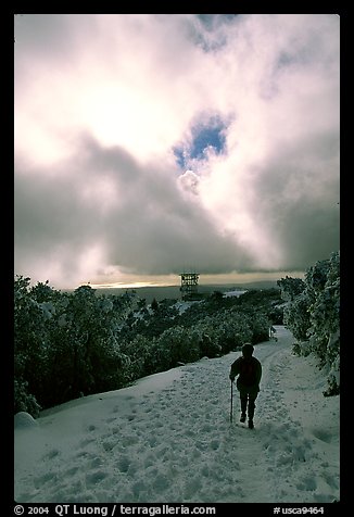 Summit trail after a snow-storm, Mt Diablo State Park. California, USA