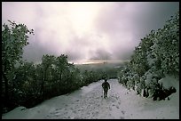 Summit trail after a snow-storm, Mt Diablo State Park. California, USA