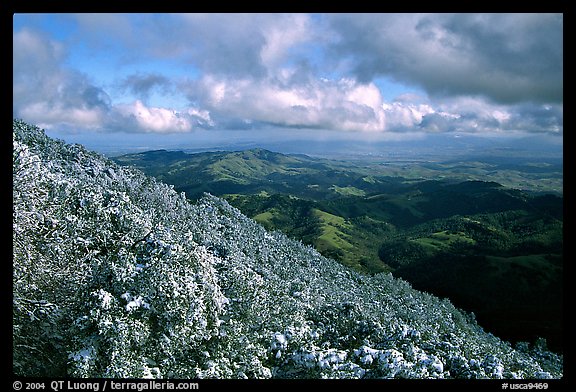 Looking towards green hills from the summit after a snow storm, Mt Diablo State Park. California, USA