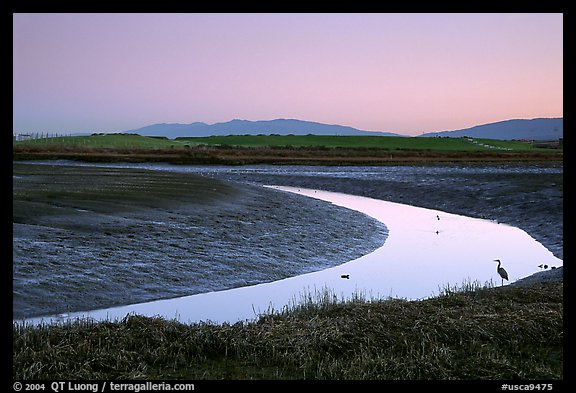 Wetlands at dusk, Palo Alto Baylands Preserve. Palo Alto,  California, USA