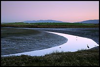 Wetlands at dusk, Palo Alto Baylands Preserve. Palo Alto,  California, USA