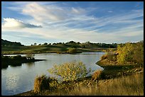 Reservoir, Joseph Grant County Park. San Jose, California, USA (color)