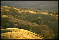 Hills, Joseph Grant County Park. San Jose, California, USA