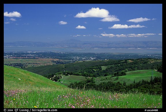 Meadows in the spring, with the Silicon Valley in the distance,  Russian Ridge Open Space Preserve. Palo Alto,  California, USA