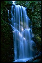 Berry Creek Falls. Big Basin Redwoods State Park,  California, USA (color)