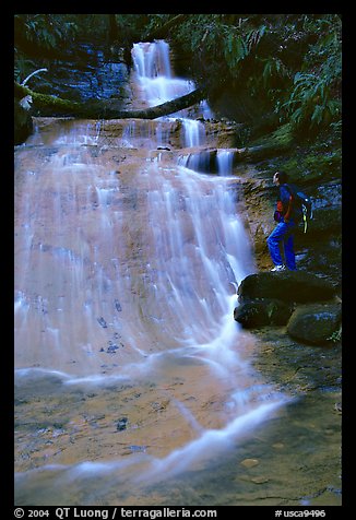 Golden cascade and hiker. Big Basin Redwoods State Park,  California, USA