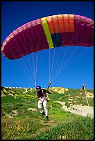 Paraglider launching, the Dumps, Pacifica. San Mateo County, California, USA (color)